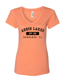 Arbor Lakes Varsity Women's V-Neck