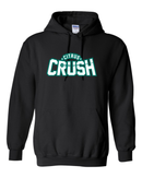 Citrus Crush Hoodie 18500