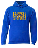 Crystal River Retro Pirate Port Hoodie N4050