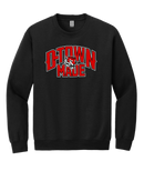 DHS Football D-Town Made Sweatshirt 18000