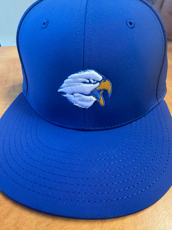 DCA Eagle Embroidered Hat Blue