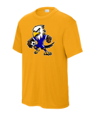 DCA Soccer Ball Eagle Dri-Fit YST350