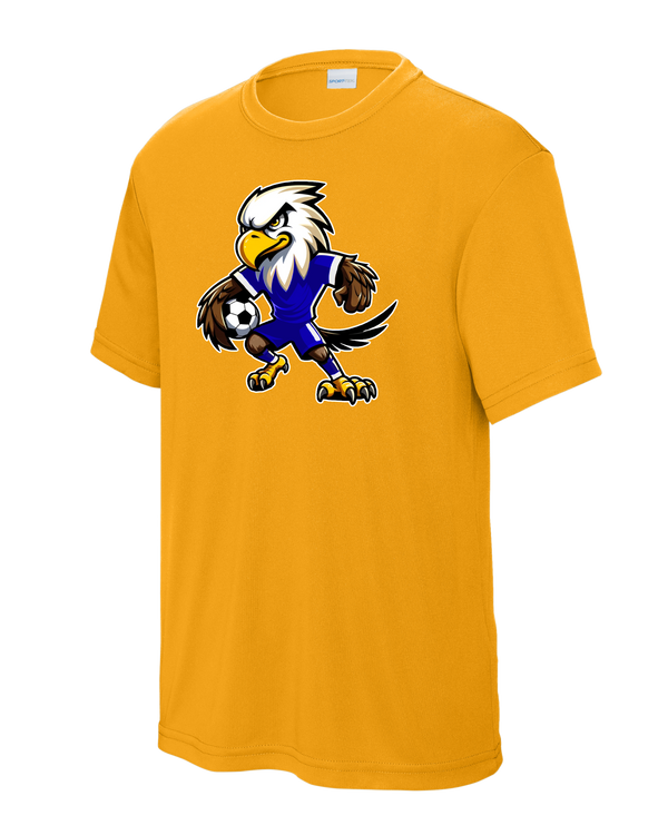 DCA Soccer Ball Eagle Dri-Fit YST350