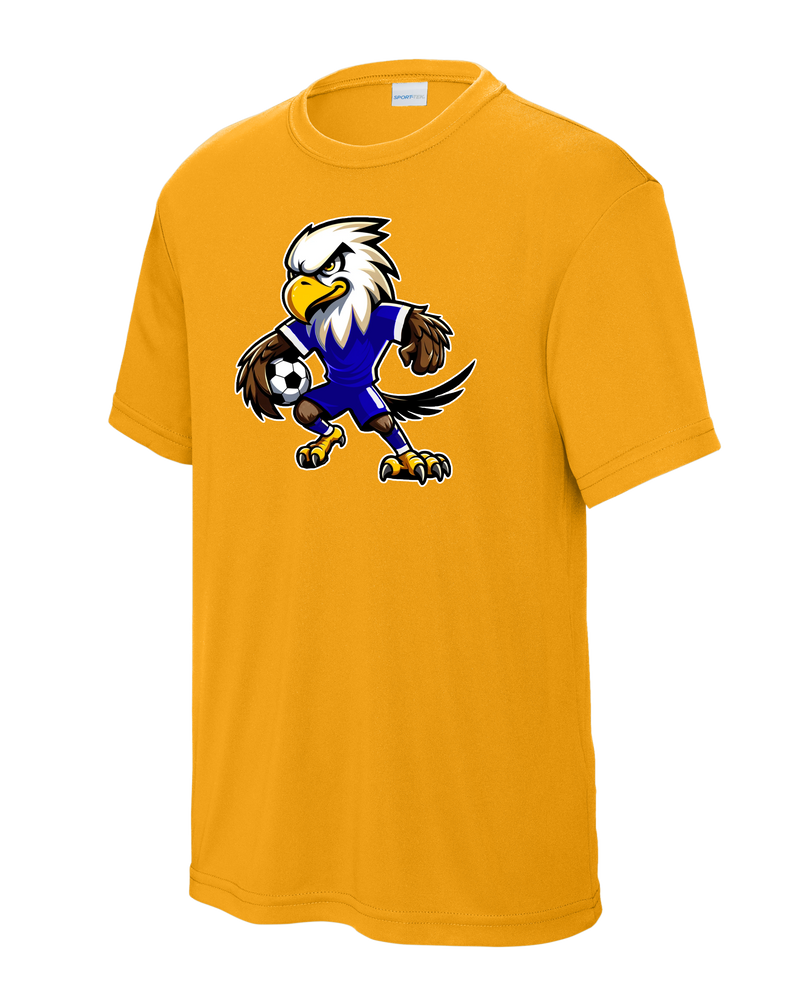 DCA Soccer Ball Eagle Dri-Fit YST350