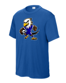 DCA Soccer Ball Eagle Dri-Fit YST350