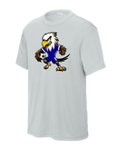 DCA Soccer Ball Eagle Dri-Fit YST350